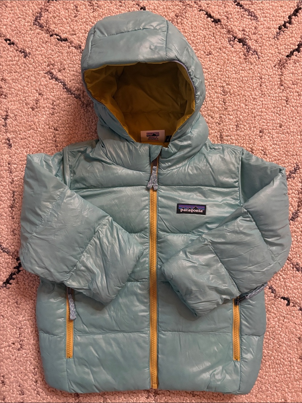 Patagonia kids Puffer jacket (2T) EUC